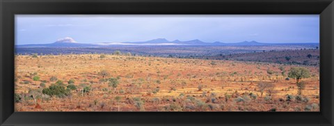 Framed Tarangire Park, Tanzania, Africa Print
