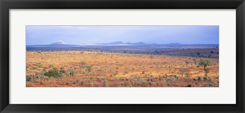 Framed Tarangire Park, Tanzania, Africa Print