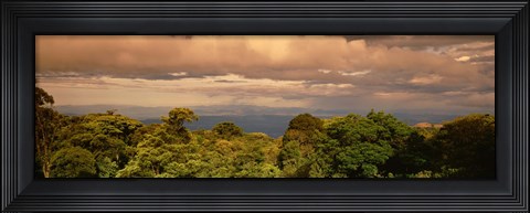 Framed Monteverde Puntarenas Province Costa Rica Print