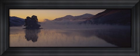 Framed Silhouette of a tree in a lake, Loch Tay, Tayside region, Scotland Print