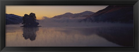 Framed Silhouette of a tree in a lake, Loch Tay, Tayside region, Scotland Print