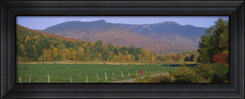 Framed Woman cycling on a road, Stowe, Vermont, USA Print