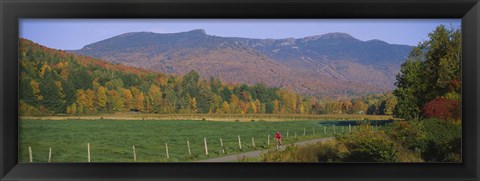 Framed Woman cycling on a road, Stowe, Vermont, USA Print