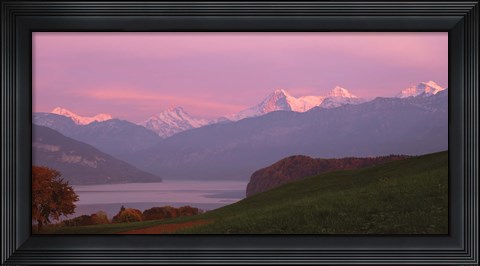Framed Switzerland, Bernese Alps, Lake Thun Print