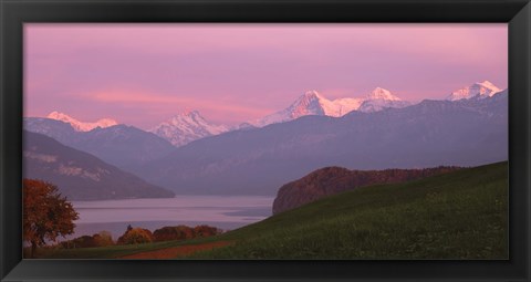 Framed Switzerland, Bernese Alps, Lake Thun Print