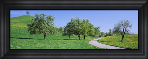 Framed Road Cantone Zug Switzerland Print