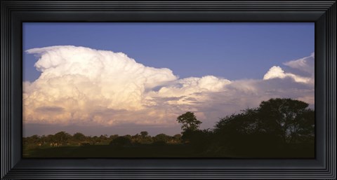 Framed Clouds over a forest, Moremi Game Reserve, Botswana Print
