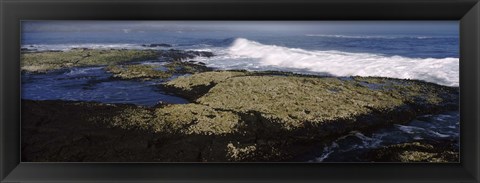Framed Rock formations at the coast, Fernandina Island, Galapagos Islands, Ecuador Print