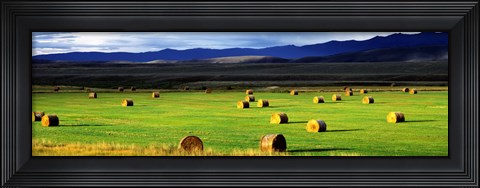Framed Haystacks, Field, Jackson County, Colorado, USA Print