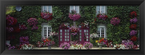 Framed Flowers Breton Home Brittany France Print