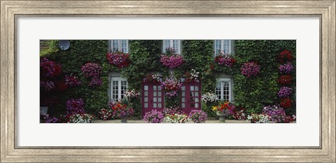Framed Flowers Breton Home Brittany France Print