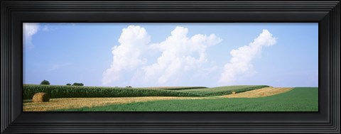 Framed Hay bales in a field, Jo Daviess county, Illinois, USA Print
