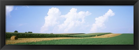 Framed Hay bales in a field, Jo Daviess county, Illinois, USA Print