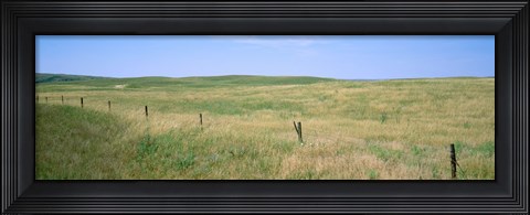 Framed Grass on a field, Cherry County, Nebraska, USA Print