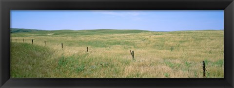 Framed Grass on a field, Cherry County, Nebraska, USA Print