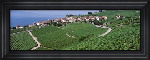 Framed Vineyards overlooking Lake Geneva, Switzerland Print