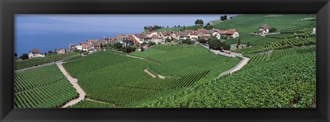 Framed Vineyards overlooking Lake Geneva, Switzerland Print