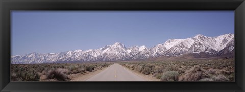 Framed USA, California, Sierra Nevada, Bushes on both sides of a road Print