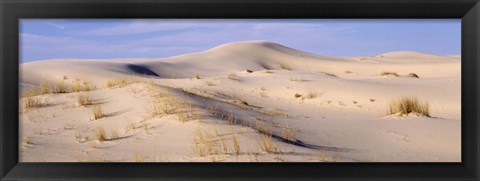 Framed Sand dunes on an arid landscape, Monahans Sandhills State Park, Texas, USA Print