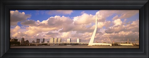 Framed Netherlands, Holland, Rotterdam, Erasmus Bridge Print
