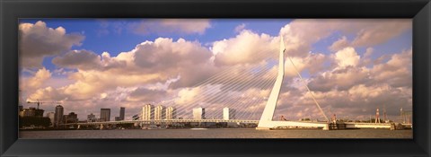 Framed Netherlands, Holland, Rotterdam, Erasmus Bridge Print