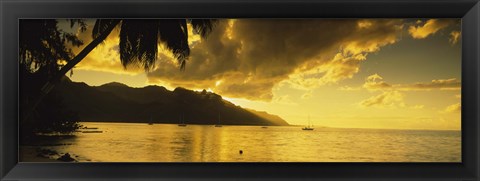 Framed Silhouette Of Palm Trees At Dusk, Cooks Bay, Moorea, French Polynesia Print