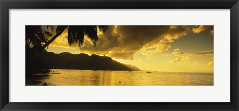 Framed Silhouette Of Palm Trees At Dusk, Cooks Bay, Moorea, French Polynesia Print