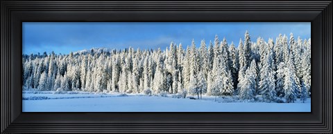 Framed Winter Wawona Meadow Yosemite National Park CA USA Print