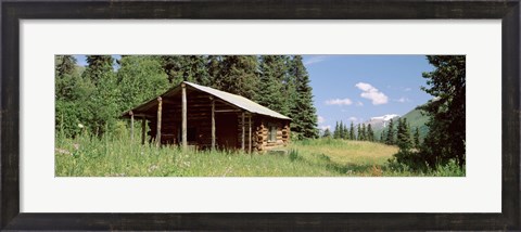 Framed Log Cabin In A Field, Kenai Peninsula, Alaska, USA Print