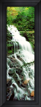Framed Ganoga Falls Ricketts Glenn State Park PA Print