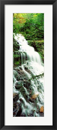 Framed Ganoga Falls Ricketts Glenn State Park PA Print