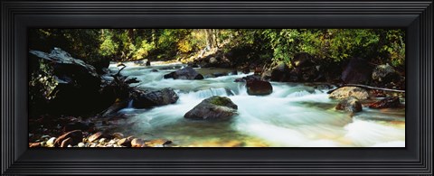 Framed Mountain Stream CO USA Print