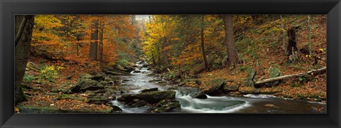 Framed Fall Trees Kitchen Creek PA Print