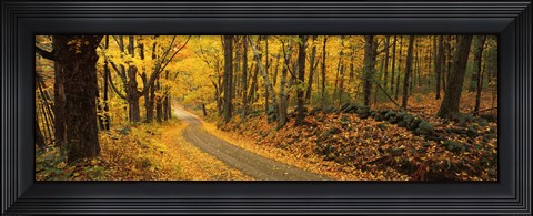 Framed Fall woods Monadnock NH USA Print