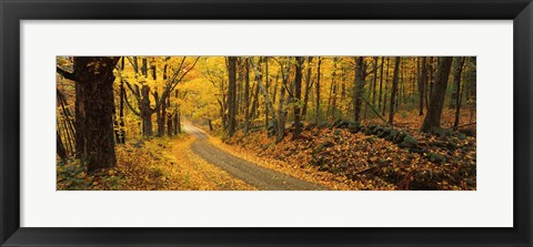 Framed Fall woods Monadnock NH USA Print