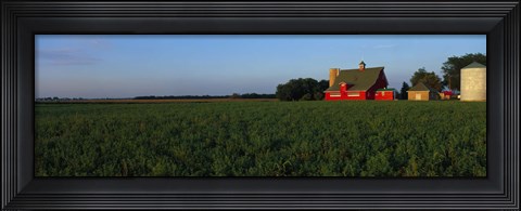 Framed Farm Fields Stelle IL USA Print