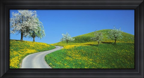 Framed Winding Road Canton Switzerland Print