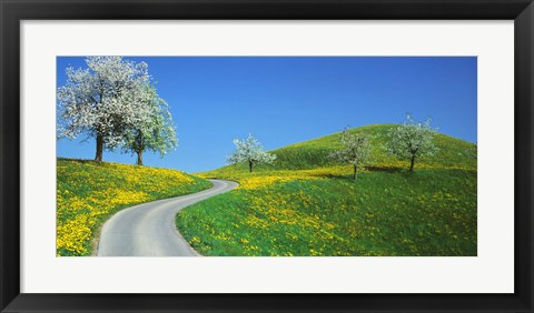 Framed Winding Road Canton Switzerland Print