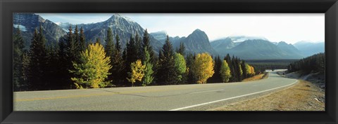 Framed Road Alberta Canada Print