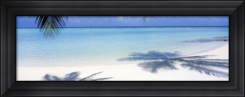 Framed Palm shadows, Laguna Maldives Print