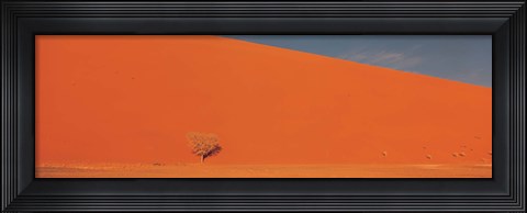 Framed Single tree in desert Namibia Print