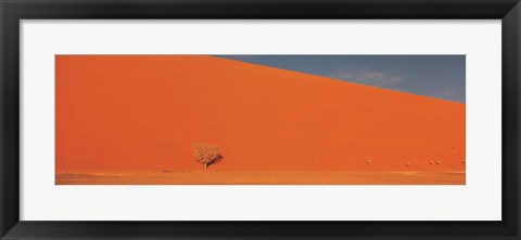 Framed Single tree in desert Namibia Print