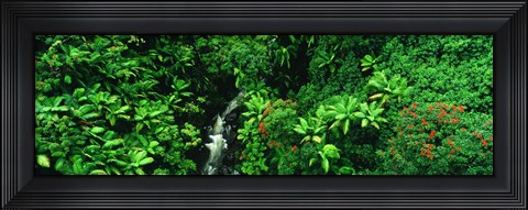 Framed Hamakua Coast, Hawaii, Hawaii, USA Print