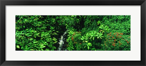 Framed Hamakua Coast, Hawaii, Hawaii, USA Print