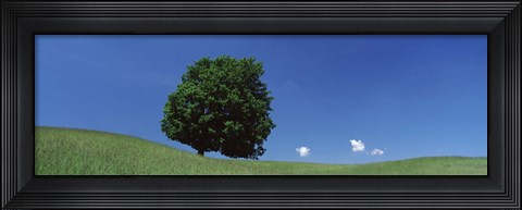 Framed View Of A Lone Tree On A Hillside In Summer Print