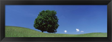 Framed View Of A Lone Tree On A Hillside In Summer Print