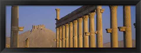 Framed Low angle view of Great Colonnade, Palmyra, Syria Print