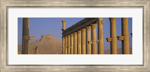 Framed Low angle view of Great Colonnade, Palmyra, Syria Print