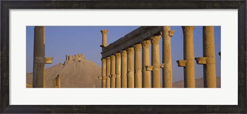 Framed Low angle view of Great Colonnade, Palmyra, Syria Print