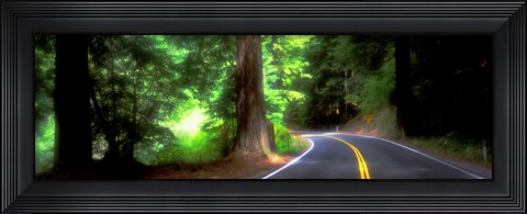 Framed Road, Redwoods, Mendocino County, California, USA Print